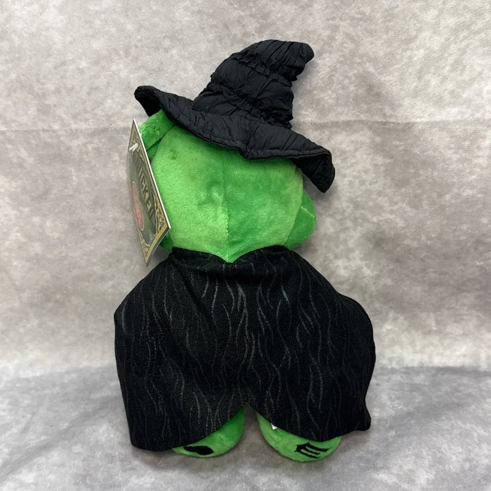 Wicked x Care Bears Good Luck Bear Plush Elphaba Limited Edition Toy Bear-NEW!